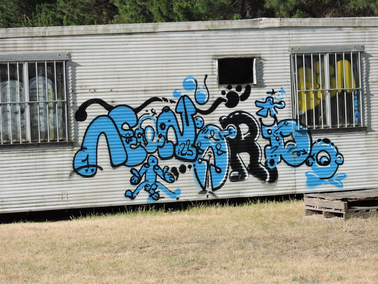 Graffiti Wall in Geelong - Photo by NDUCT - Leonardo