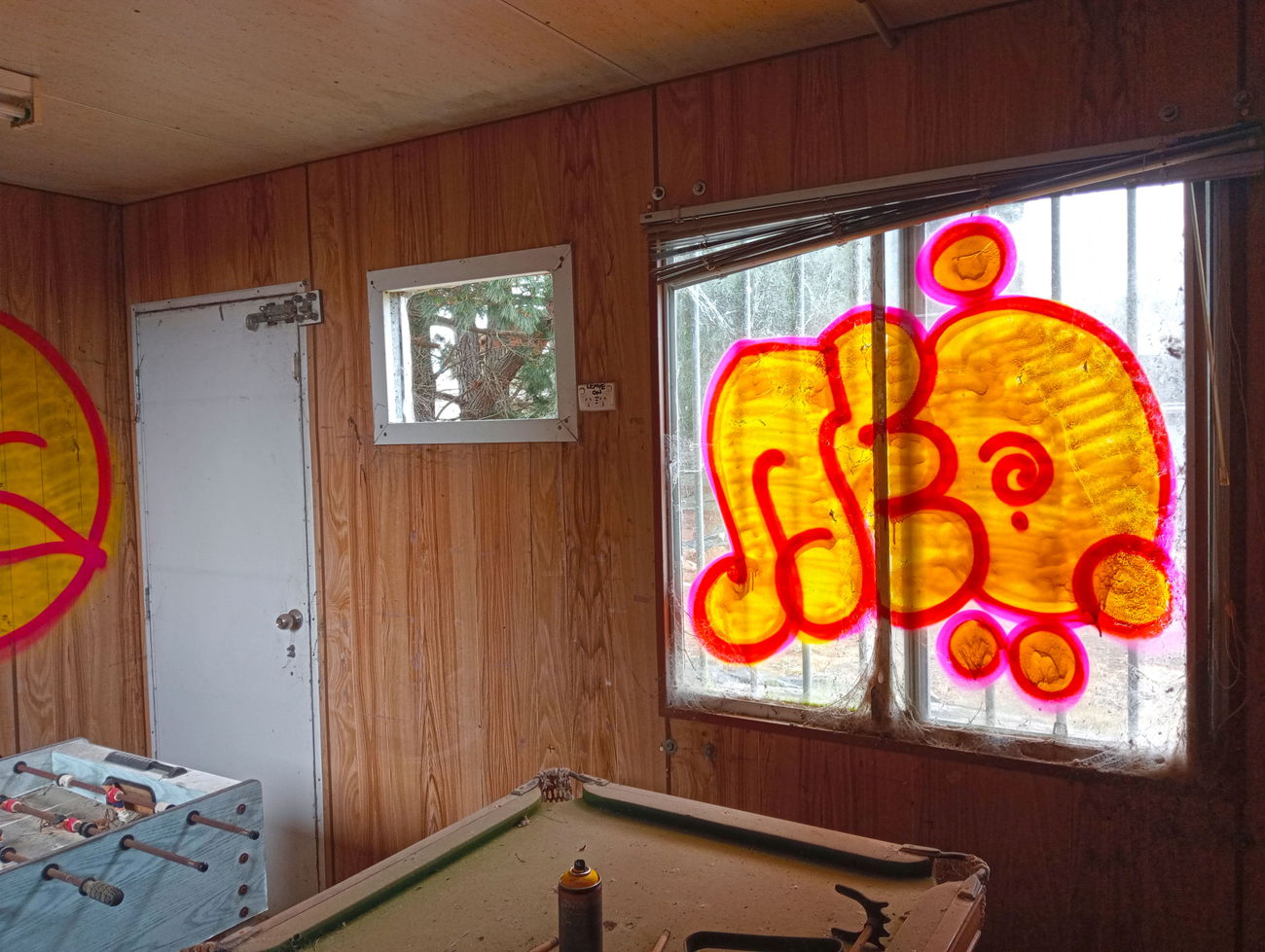 Graffiti Bombing - Photo by NDUCT