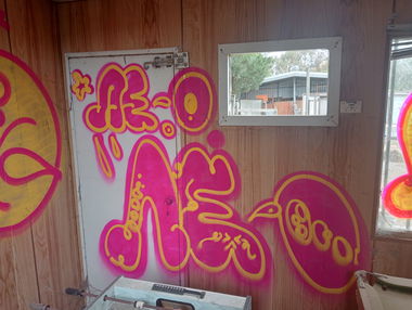 Graffiti Bombing - Photo by NDUCT