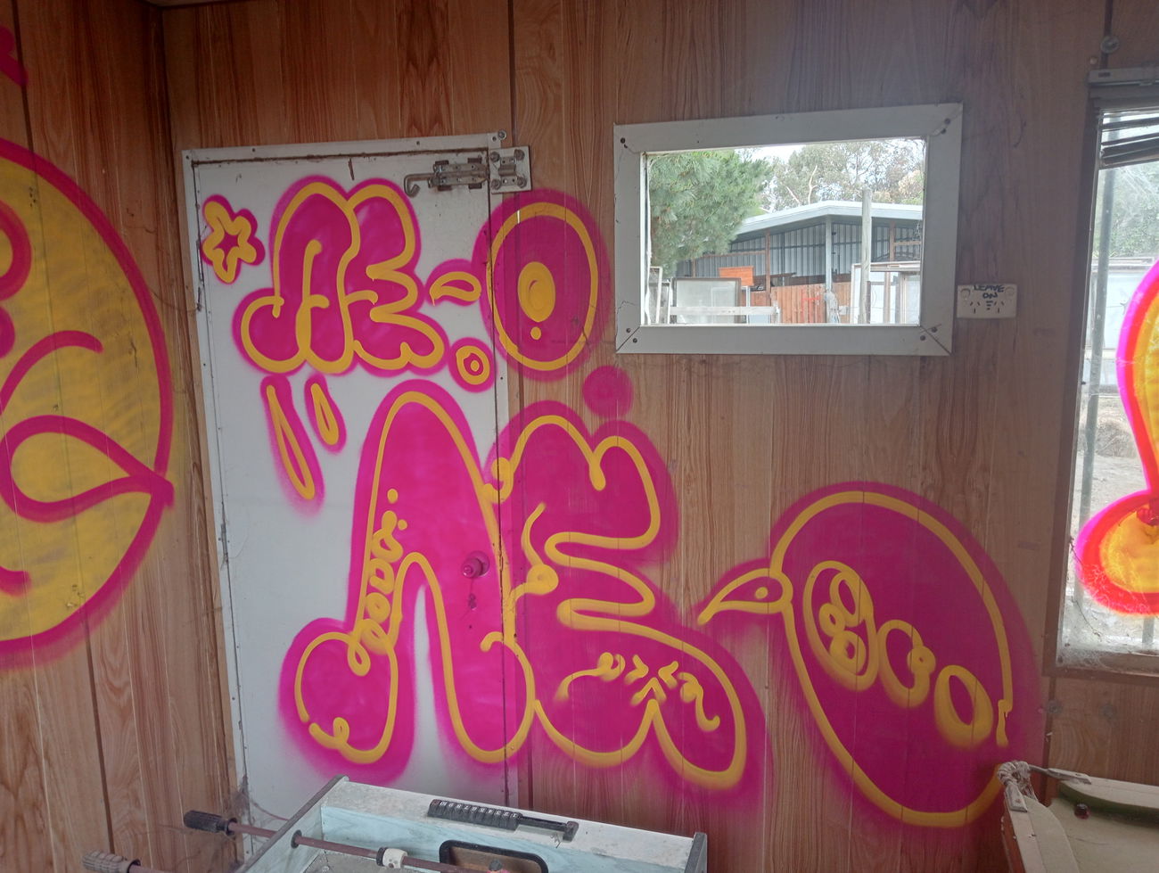 Graffiti Bombing - Photo by NDUCT