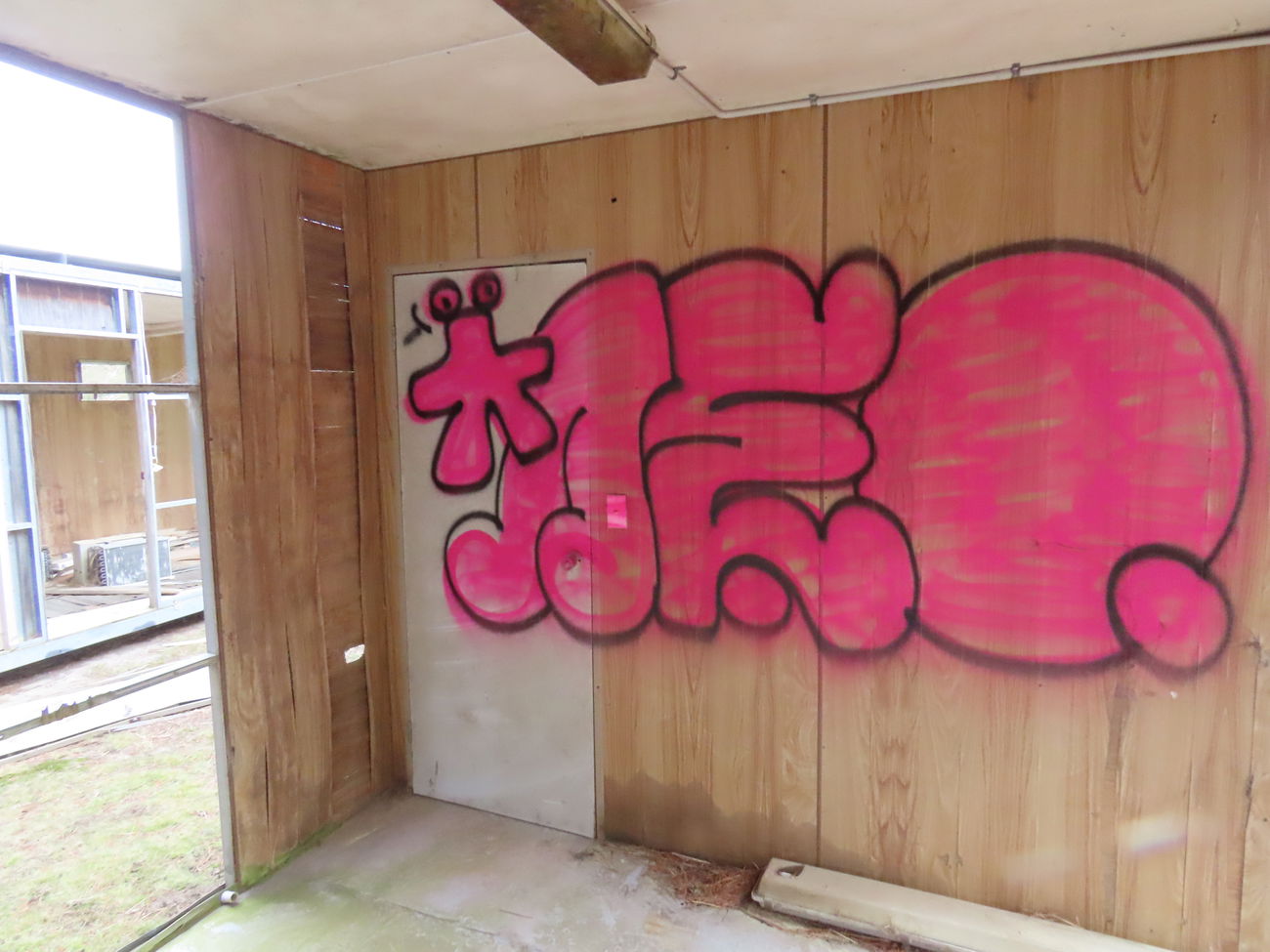 Graffiti Bombing - Photo by NDUCT