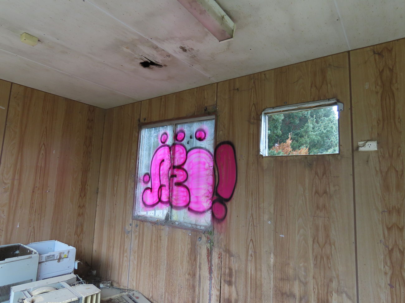 Graffiti Bombing - Photo by NDUCT