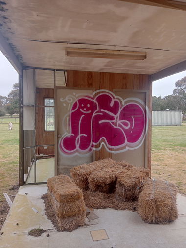 Graffiti Bombing - Photo by NDUCT