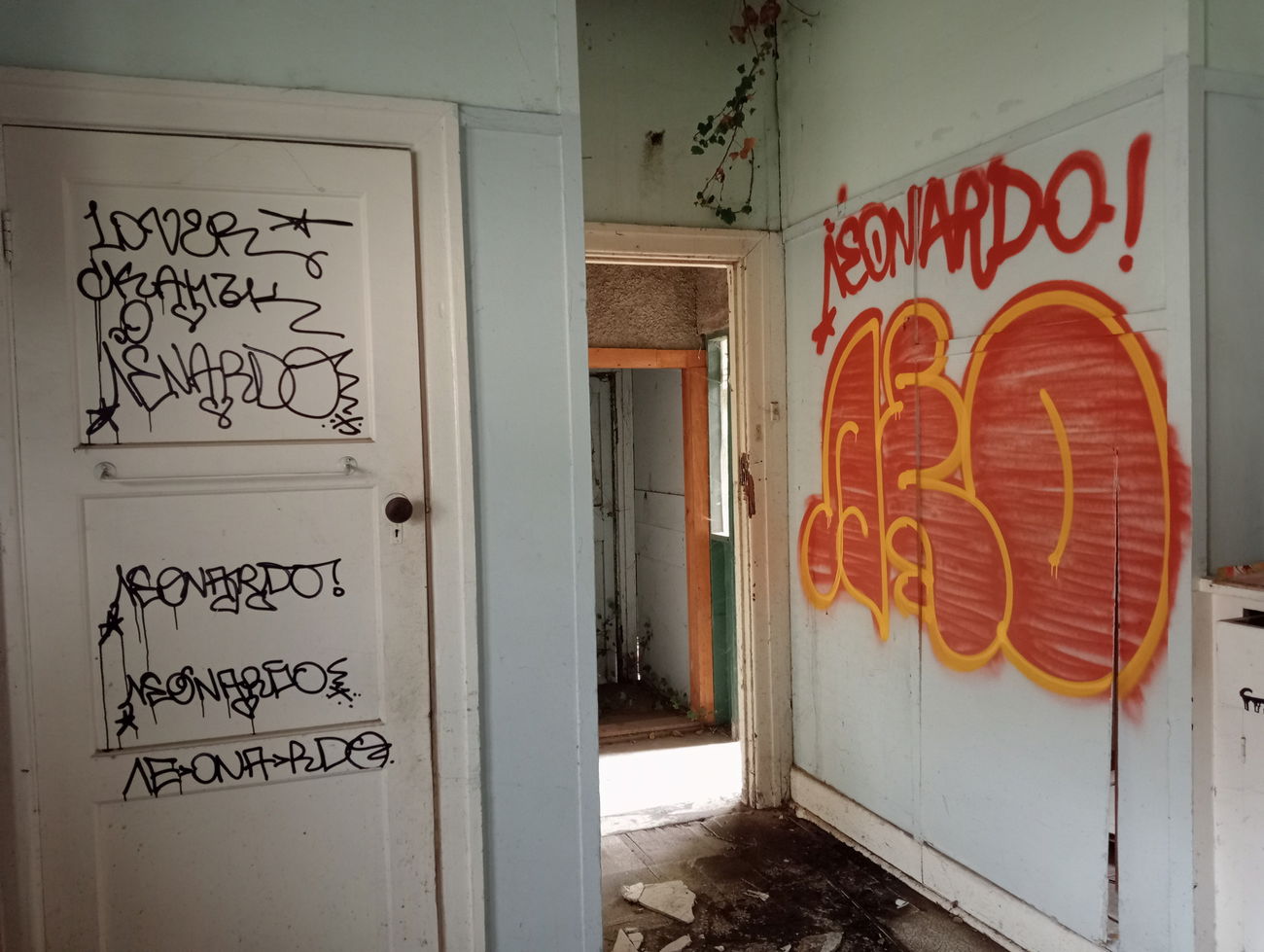 Graffiti Bombing - Photo by NDUCT (2023)