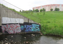 Photo #249197 by iobe1