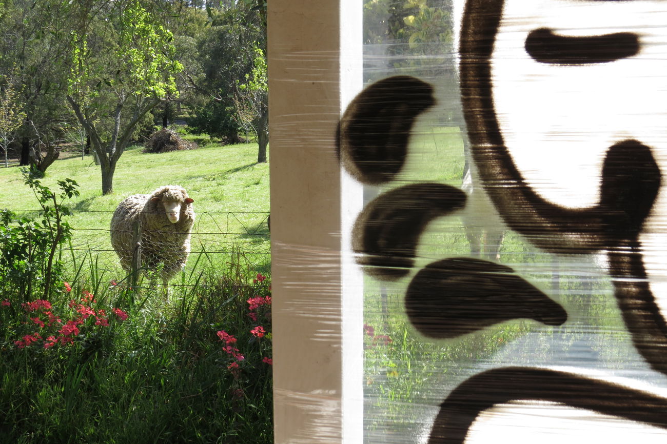 Graffiti Artwork in Australia - Photo by NDUCT - yers (2025)