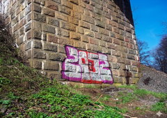 Photo #249539 by iobe1