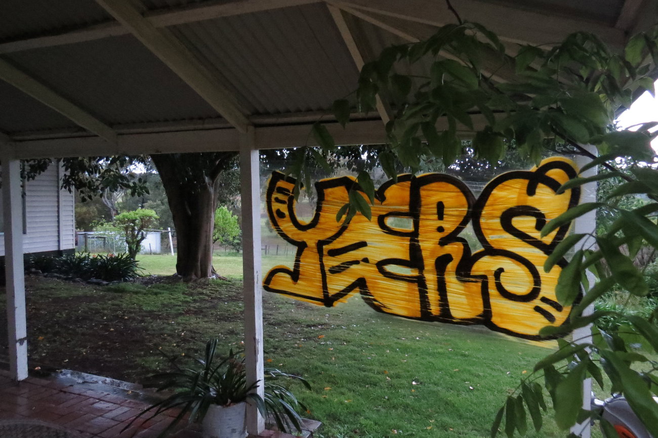 Graffiti Bombing in Australia - Photo by NDUCT - Yers, induct