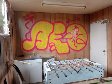 Graffiti Bombing in Australia - Photo by NDUCT - induct