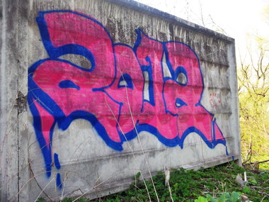 Graffiti Bombing in Minsk - Photo by NDUCT - 2012 (2010)
