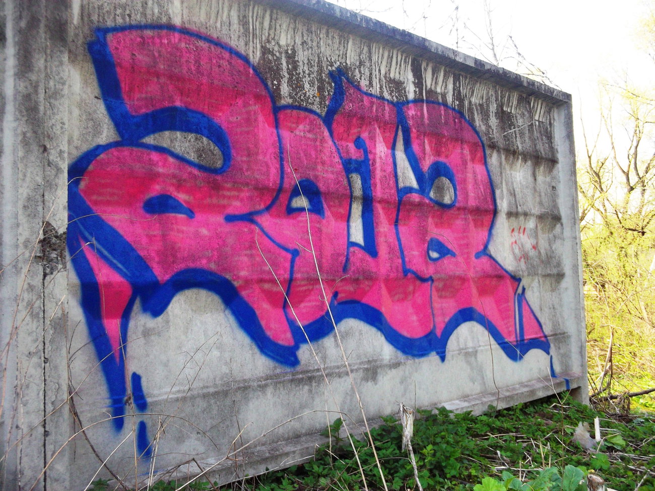 Graffiti Bombing in Minsk - Photo by NDUCT - 2012 (2010)