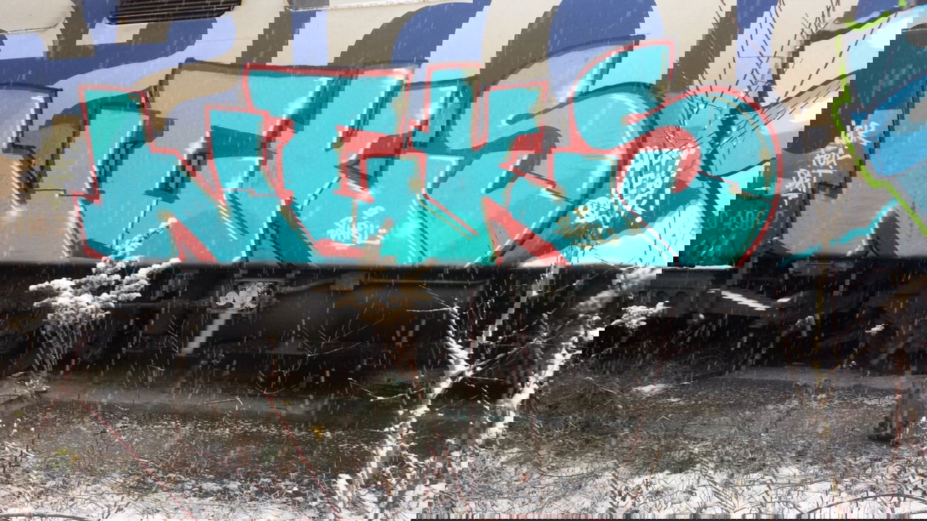 Graffiti Train - Photo by NEKS185 - lcr, fea, dat (2014)