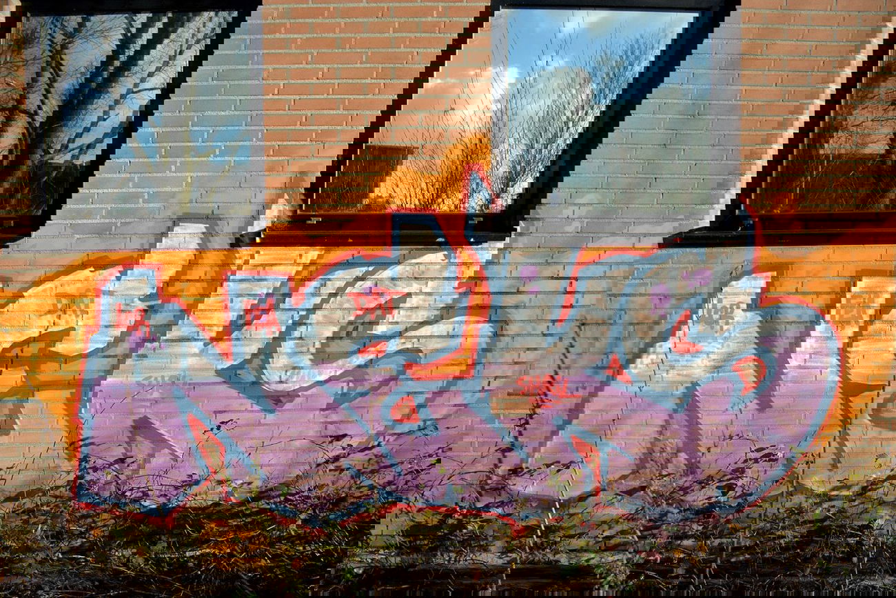 Graffiti Bombing in Amsterdam - Photo by NEKS185 - neks, lcr, fea (2015)