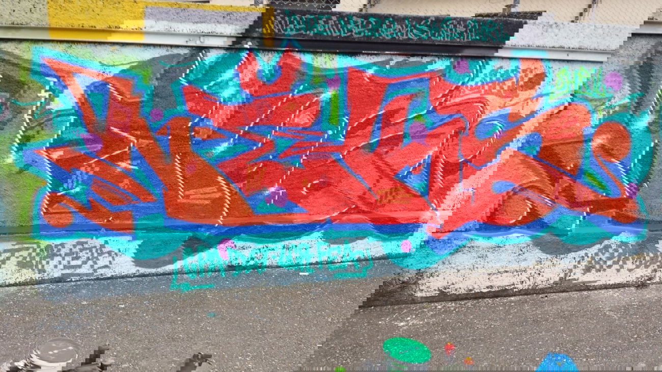 Graffiti Wall in Bezirk Arlesheim - Photo by NEKS185 - neks, lcr, tbh (2014)