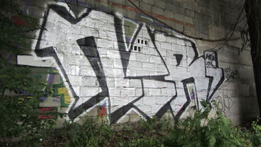 Graffiti Bombing - Photo by NER