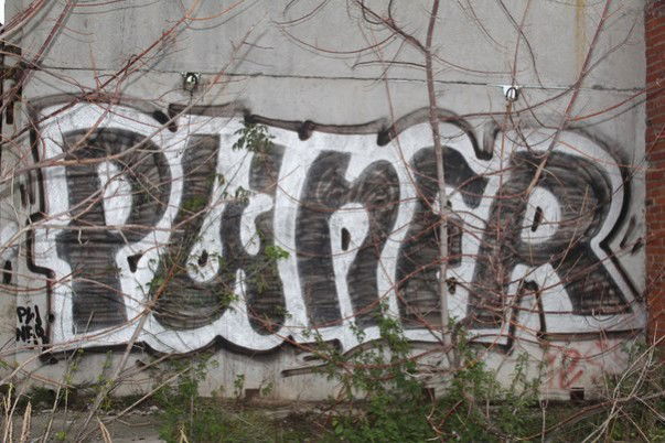 Graffiti Wall - Photo by NFRCRU