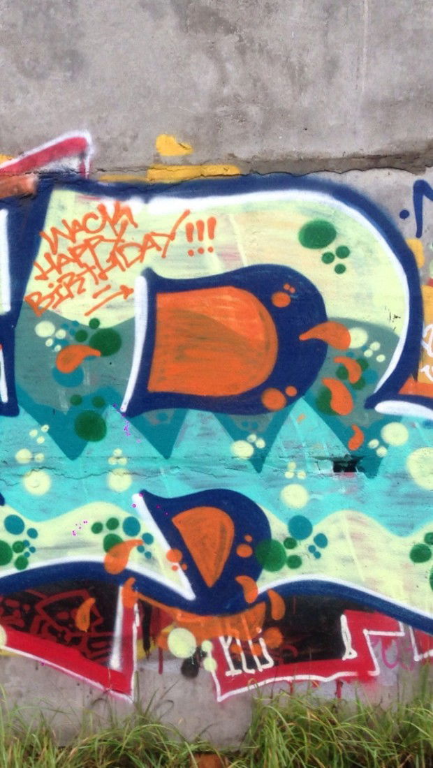 Graffiti Wall - Photo by NFRCRU - WACK!!! (2013)