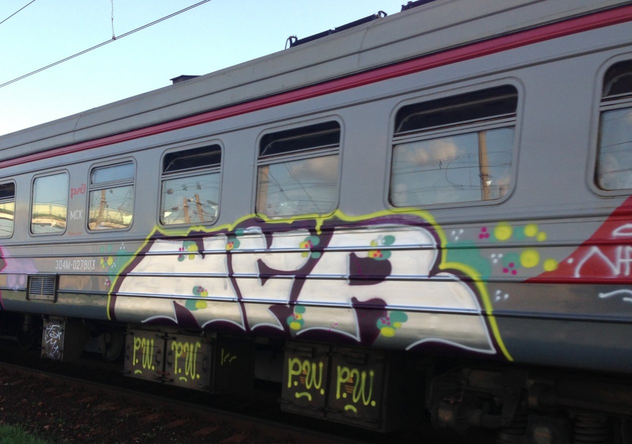 Graffiti Train - Photo by NFRCRU - ?R?W (2013)