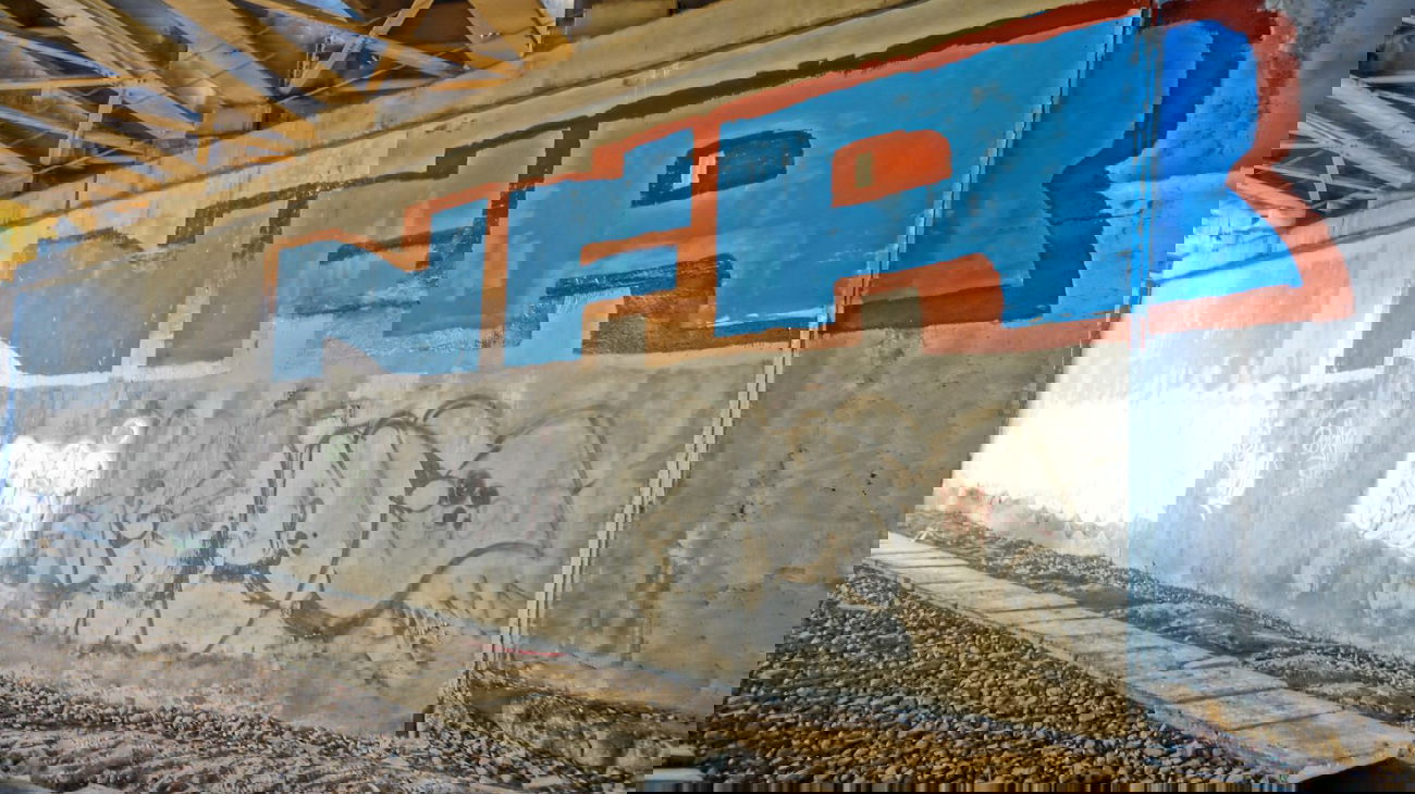 Graffiti Bombing - Photo by NFRCRU (2013)