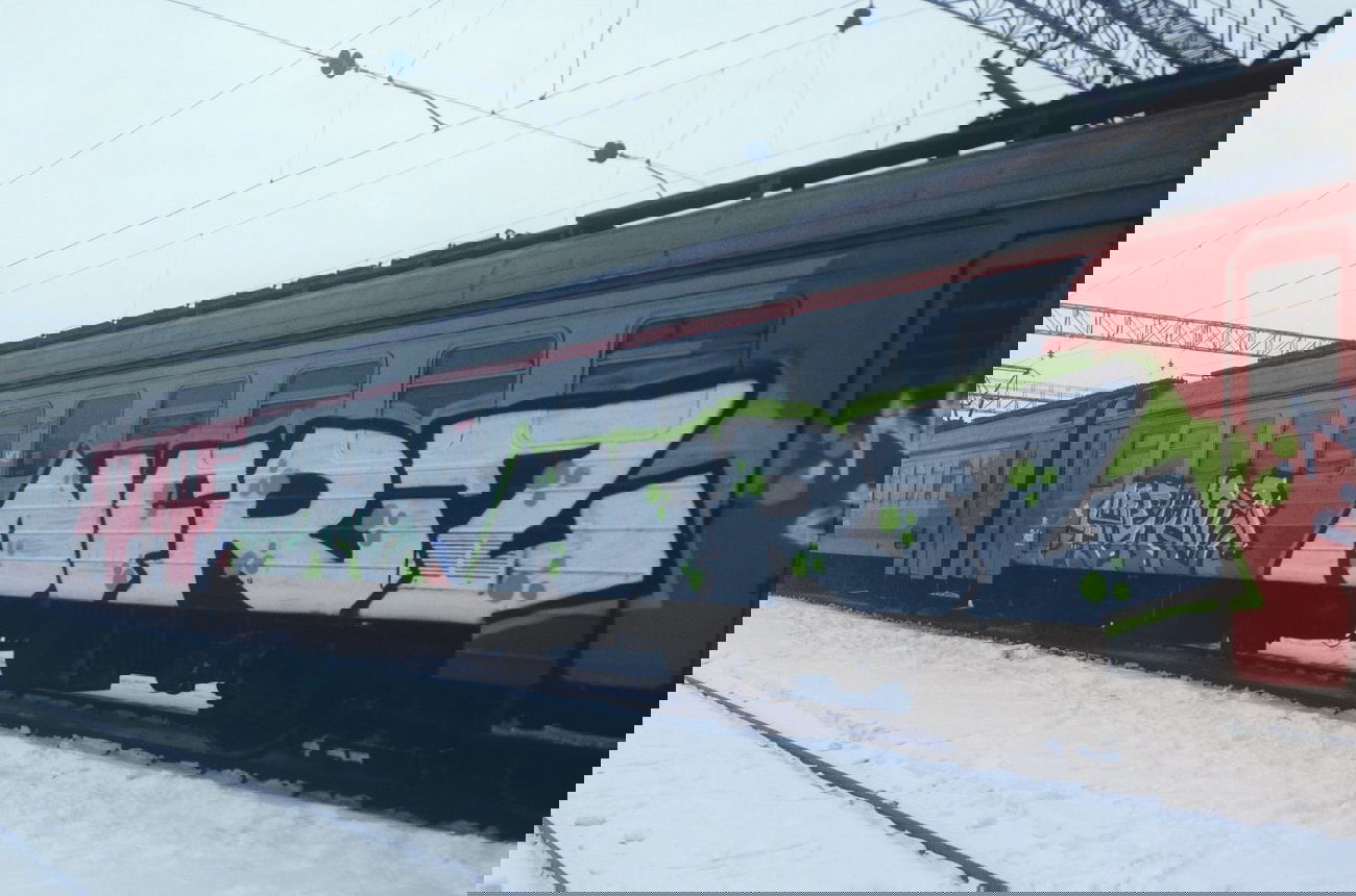 Graffiti Train - Photo by NFRCRU - Graffiti (2015)