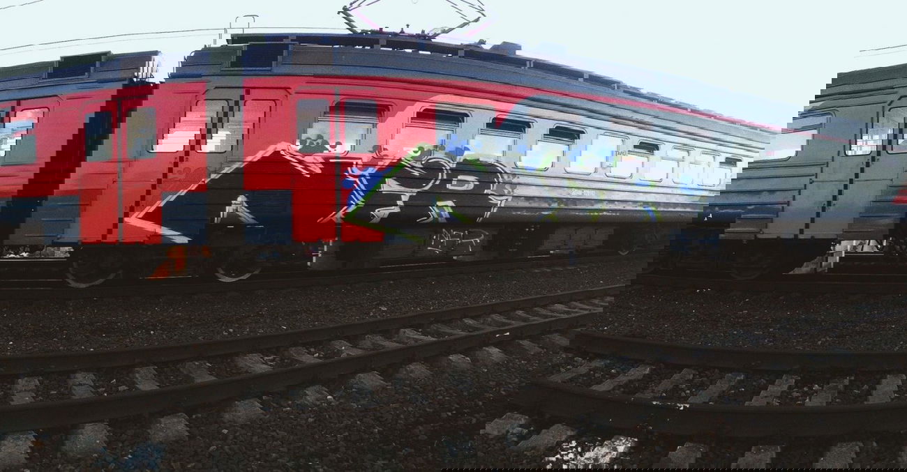 Graffiti Train - Photo by NFRCRU - train (2015)