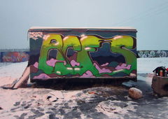 Photo #80313 by royalbone