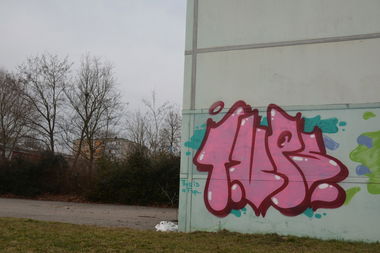 Graffiti Bombing - Photo by NOIIO3 - tups, tup, throwup (2016)