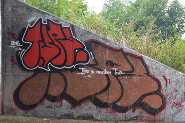 Graffiti Wall in Frankfurt (Oder) - Photo by NOIIO3 - thisisatup, throwup, tups (2016)