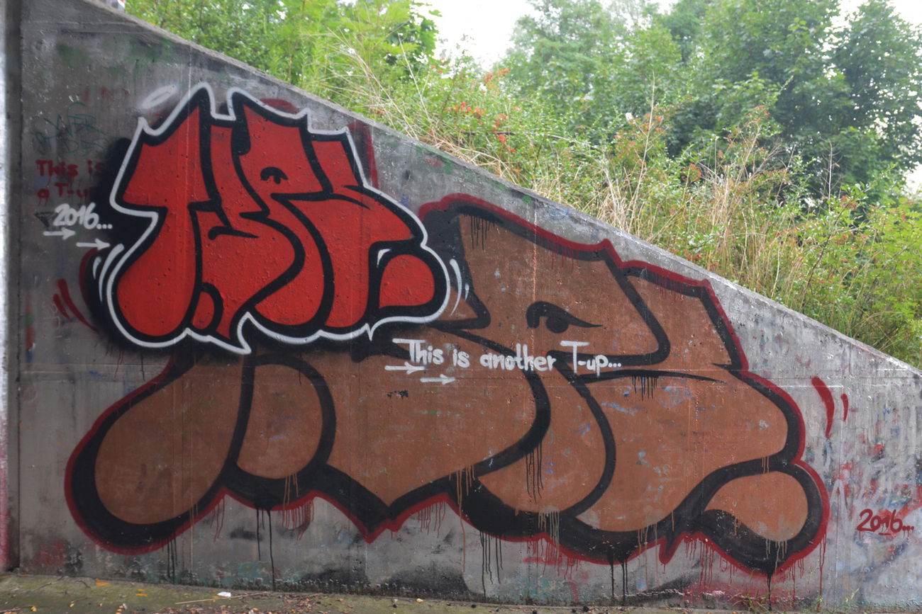 Graffiti Wall in Frankfurt (Oder) - Photo by NOIIO3 - thisisatup, throwup, tups (2016)