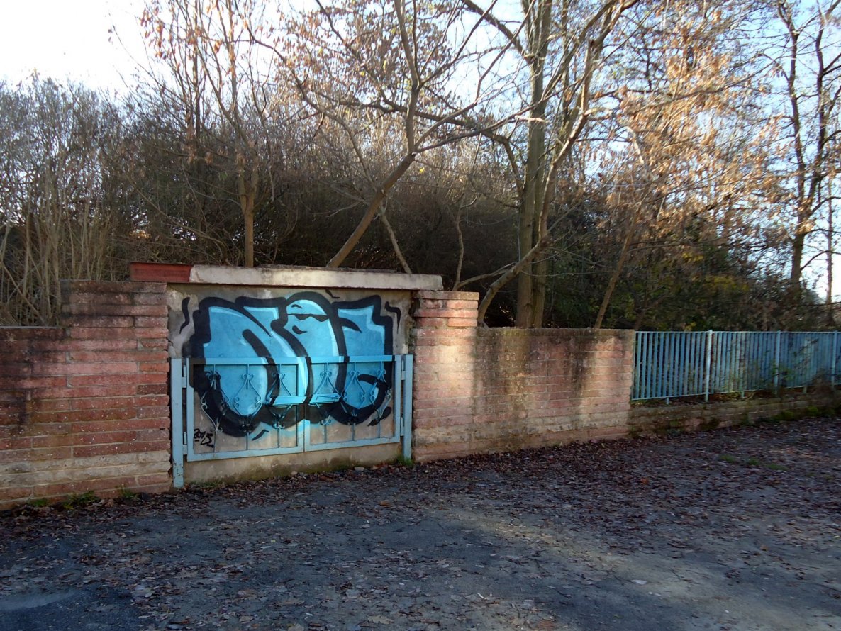 Graffiti Bombing - Photo by NOIIO3 (2013)