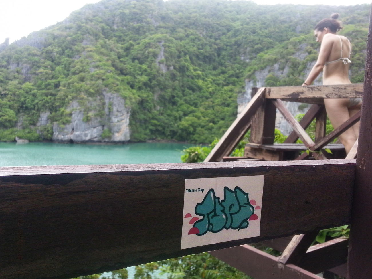 Graffiti Artwork - Photo by NOIIO3 - tups, t.ups, throwup (2016)