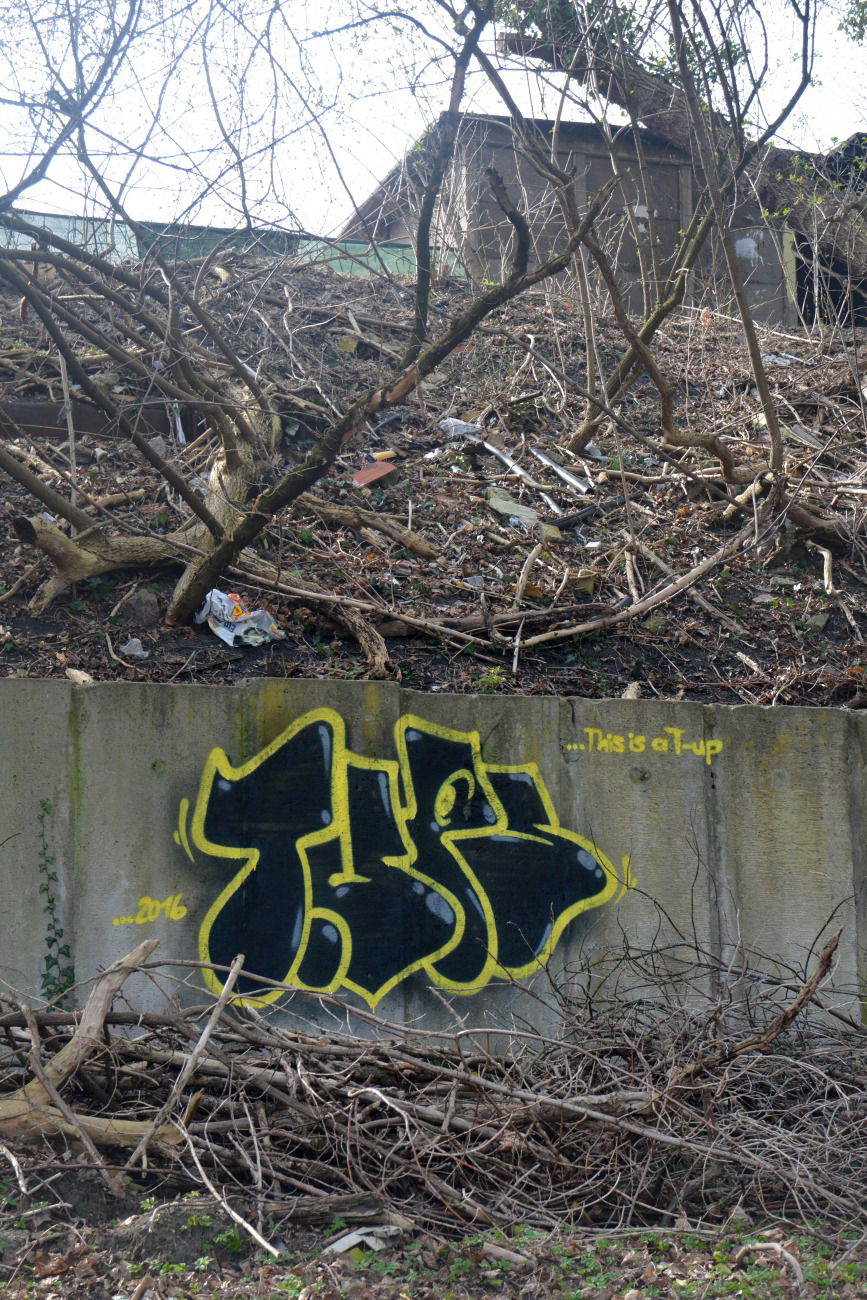 Graffiti Bombing in Frankfurt (Oder) - Photo by NOIIO3 - tups, tup, thisisatup (2016)