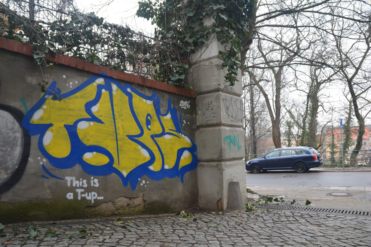 Graffiti Bombing - Photo by NOIIO3 - t-ups, t-up, throwup (2016)