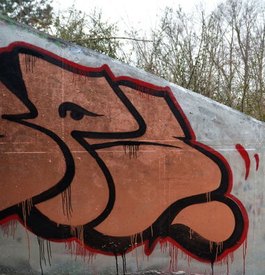 Graffiti Bombing - Photo by NOIIO3 - tups, throwup, tup (2016)