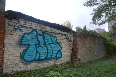 Graffiti Bombing - Photo by NOIIO3 - tups, tup, throwup (2016)