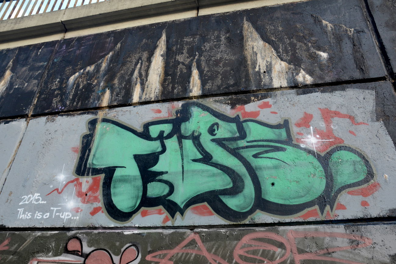 Graffiti Artwork - Photo by NOIIO3 - tup, tups, throwup (2015)