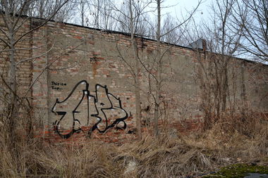 Graffiti Bombing - Photo by NOIIO3 - tup, throwup (2016)