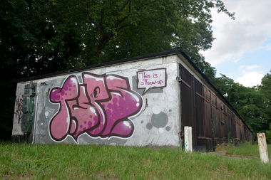 Graffiti Bombing - Photo by NOIIO3 - tups, throwup, tup (2016)