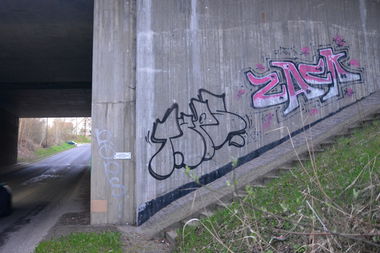 Graffiti Bombing - Photo by NOIIO3 - tups, tup