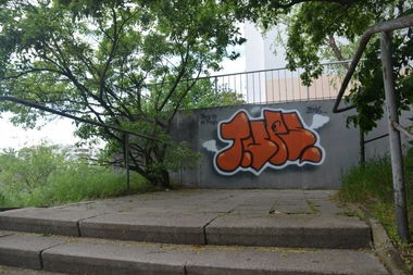 Graffiti Bombing - Photo by NOIIO3 - tups, tup, throwup (2016)