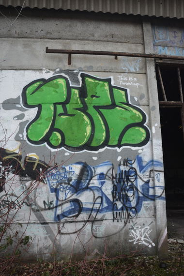 Graffiti Bombing - Photo by NOIIO3 - tups, thowup, tup (2016)