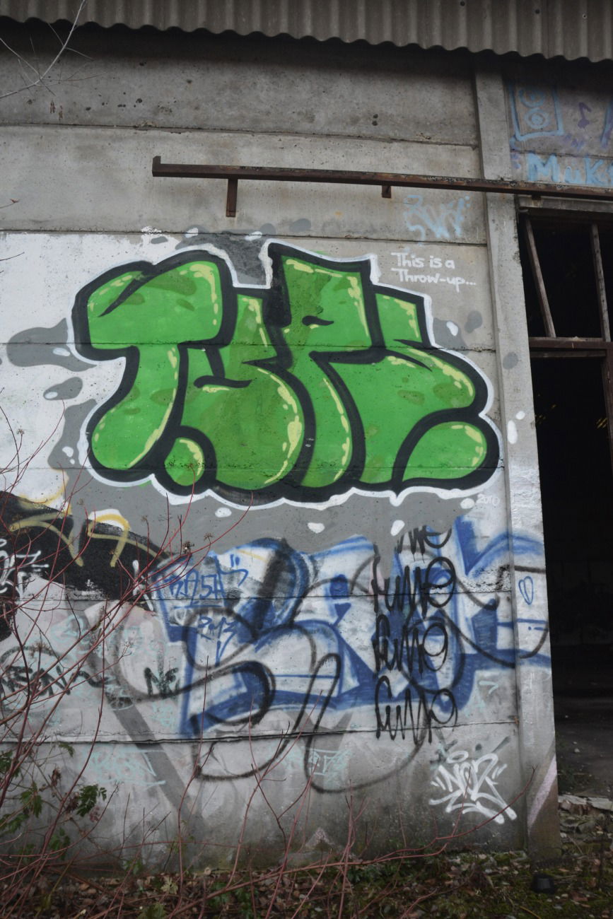 Graffiti Bombing - Photo by NOIIO3 - tups, thowup, tup (2016)