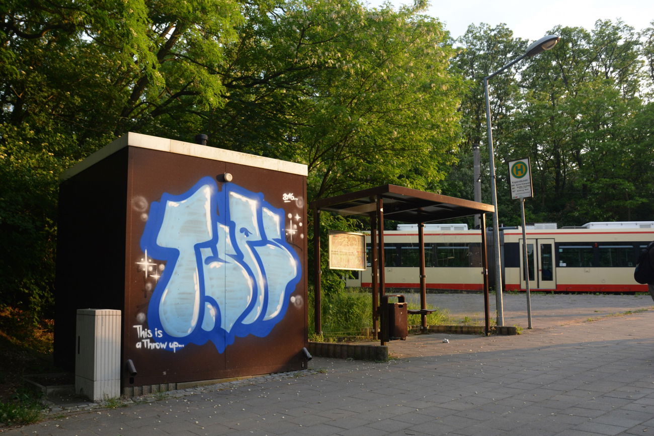 Graffiti Bombing - Photo by NOIIO3 (2016)