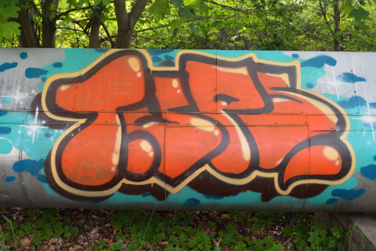 Graffiti Bombing - Photo by NOIIO3 (2016)