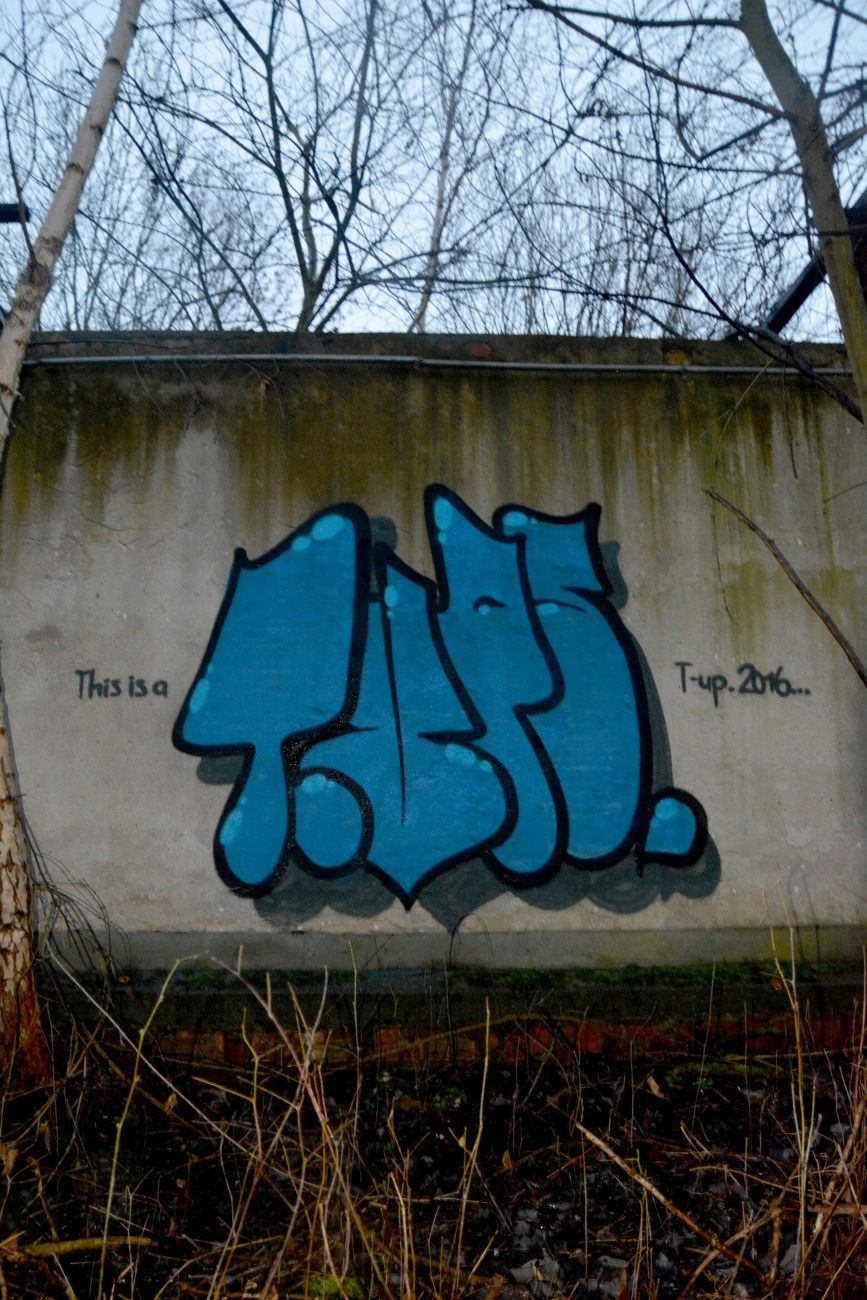 Graffiti Bombing - Photo by NOIIO3 - tups (2016)