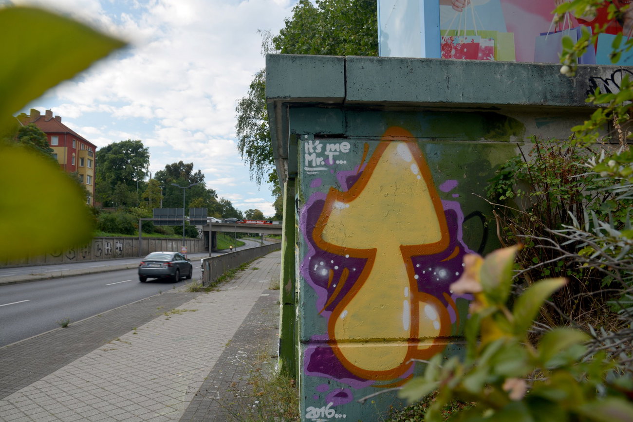 Graffiti Wall - Photo by NOIIO3 - tups, t.ups, throwup (2016)