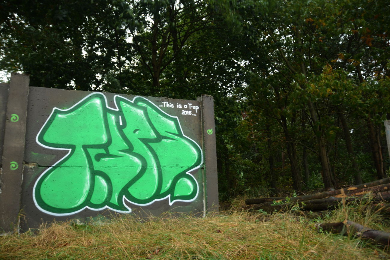 Graffiti Bombing in Fürstenwalde - Photo by NOIIO3 - tups, thisisatup, throwup (2016)