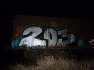 Graffiti Train - Photo by NOIIO3 (2012)