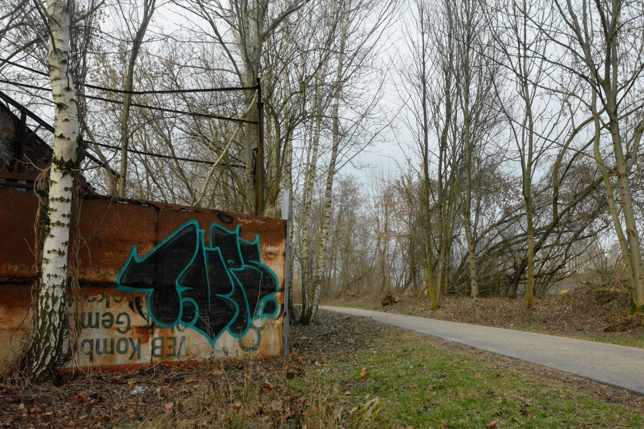 Graffiti Bombing - Photo by NOIIO3 - tup, tups, throwup (2016)