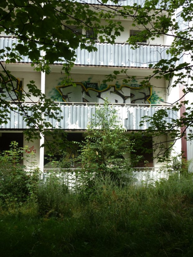 Graffiti Bombing - Photo by NOIIO3 (2012)